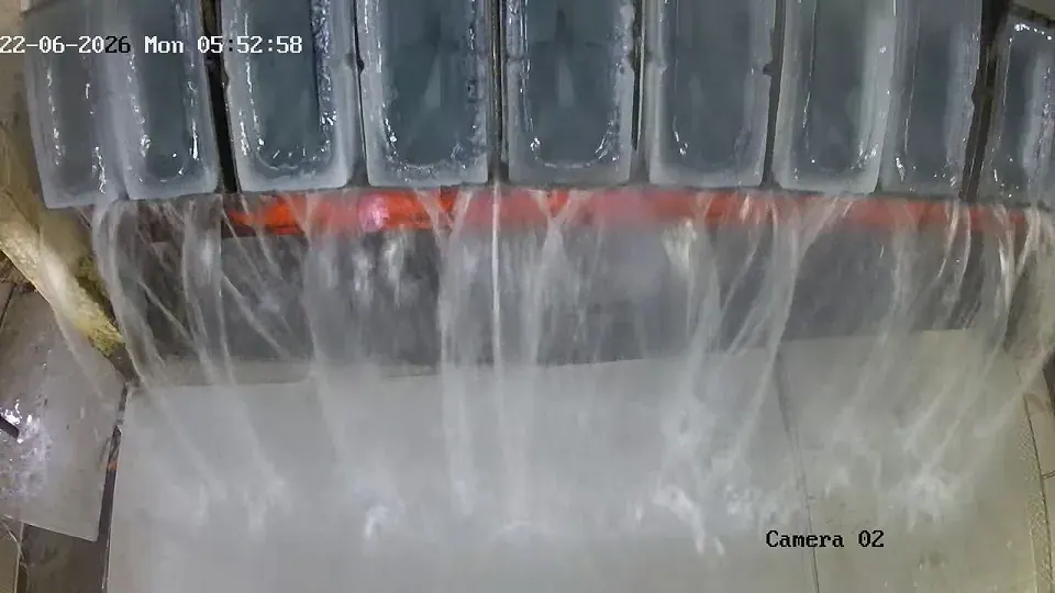 Ice Block Quality Inspection