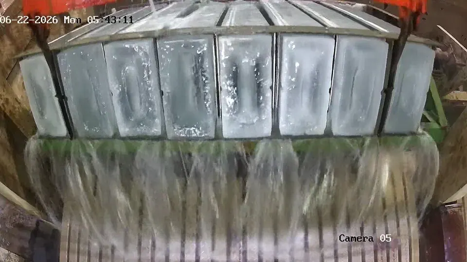 Ice Plant Monitor