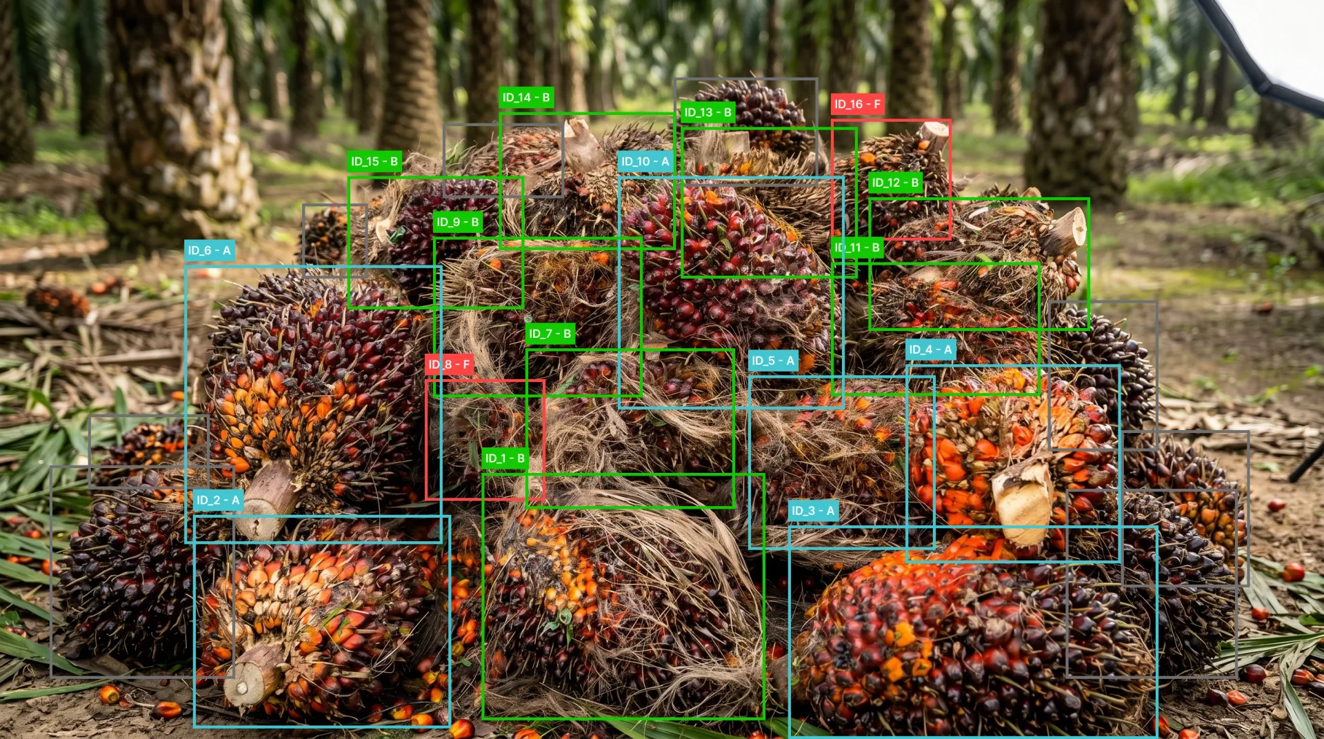 Detection view